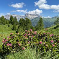 Der Murmeltierpfad ©Archivio Funivia Ciampac e Contrin S.p.A.