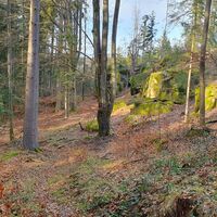 Räuberhöhlen im Dachsgraben