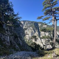 Wachthüttelkamm
