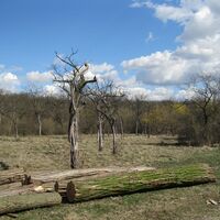 Nationalpark Donauauen