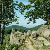 Glöckner Steinmassiv am Rennsteig