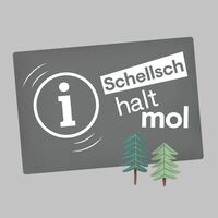 Schellsch halt mol