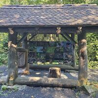 Fotogalerie: Tiere im Wald