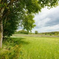 Le sentier des ours dans le Waldviertel