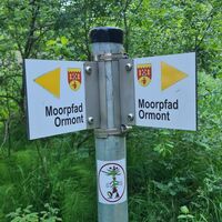 Moorpfad Ormont