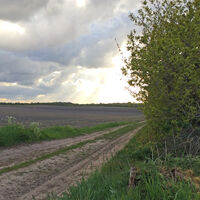 Markierungszeichen am ORTSWEG Rund um Flötenkiel an einem Holzpfeiler