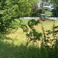Traktor im Hundsmoor