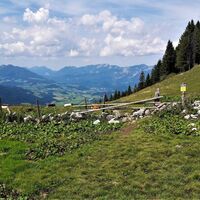 Blick vom Hofalmsattel Richtung Nordwesten ins Windischgarstener Becken