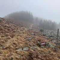 Gratweg im Nebel