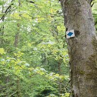 Unterwegs halten wir uns an die Beschilderung des Schwawrzwaldvereins.