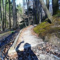 Am Weg zur Ruine Gutrat