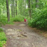 10.2 km Grundrichtung gerade beudeutet hier: rechts