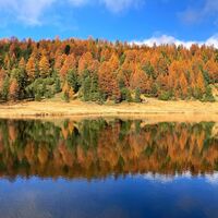Foiron-See