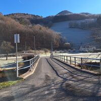 Brücke über die Pielach