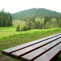 Langebach Dicke Buche