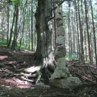 Scheibbs - Waidhofen a. d. Ybbs