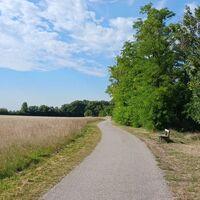 Bike Buddies Burgenland