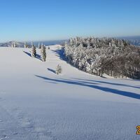 Tirolerkogel