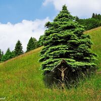 Stille umgibt diesen Ort, fast magisch