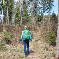 Gut markiert wandern wir entlang des 02er Weitwanderweg