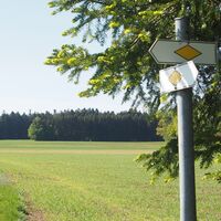 Die gelbe Raute weist den Weg über die Felder