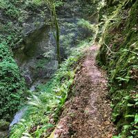 Losenstein-Hohe Dirn Trail