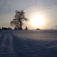 Abenddämmerungim Winter Richtung Kronenhof