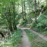 rechts im Steig weiter hoch