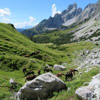 Adamekhütte - Oberes Hochkesseleck - Hofpürglhütte