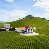 Taggenbrunn: Burg und Weingut