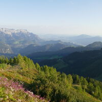 was für ein traumhafter Start in den Tag