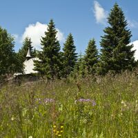 Laurentiuskapelle bei der Todtnauer Hütte