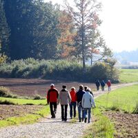 Wandern am Kneipprundwanderweg