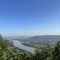 .. und zum Bisamberg