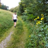 Gemütliches Dahinwandern