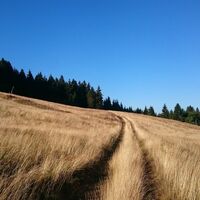 Bergwiese bei Steinheid im Herbst