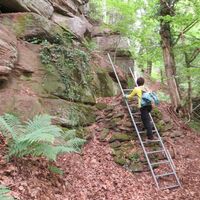 Naturpark-Augenblick-Runde Holzbronn_Alpiner Steig mit Leitern