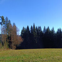 Wechsel aus Wald und Grünland