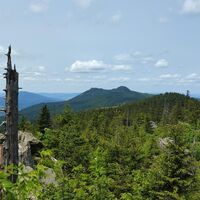Blick zum Osser-Duo vom Lohberger Riegel