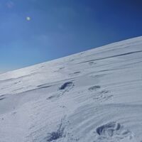 Puchberg - Schneebergdörfl - Mieseltal - Waxriegel