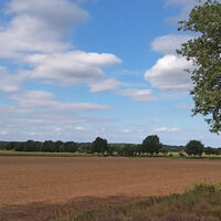 Über Felder in die Ferne blicken am Waldrand vom Forst Hinzel