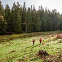 Dem Lauf der kleinen Enz folgend durchqueren wir wunderschöne Wiesenlandschaften