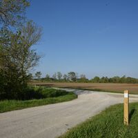 Entre vignes et marais4