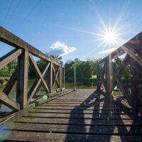 Steg beim Loimether Teich