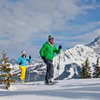 Schneeschuhwandern