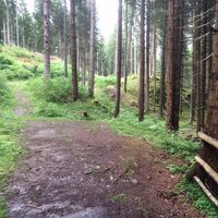 Klausbodenrunde weiter1.JPG