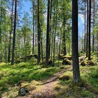 Im Nastolan Lohkarepuisto