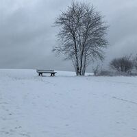 Oberfischbach Winter