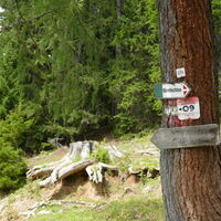 unser Ziel ist nicht zu finden