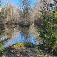 Teiche im Schremser Hochmoor